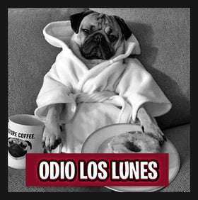 Pack Odio Los Lunes